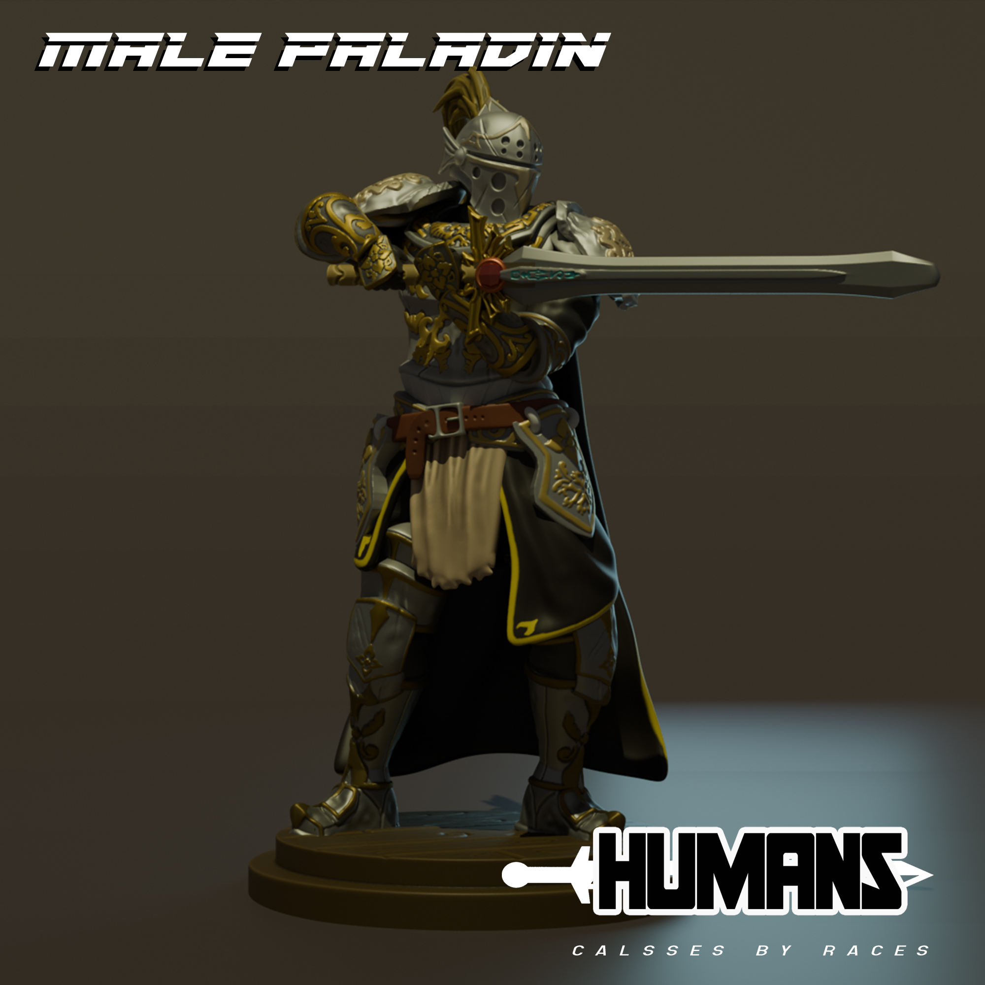 Human male Paladin Full Plate